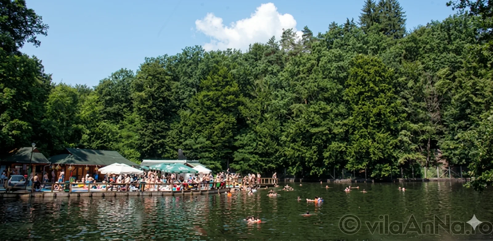 Lacul Aluniș, vedere din rezervație
